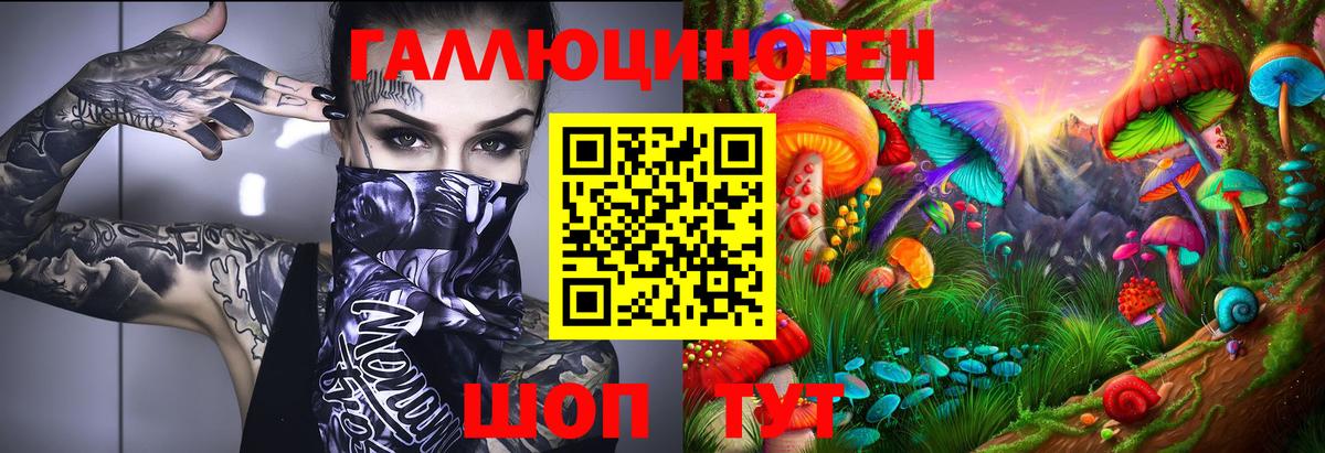 Галлюциногенные грибы Psilocybine cubensis Ирбит