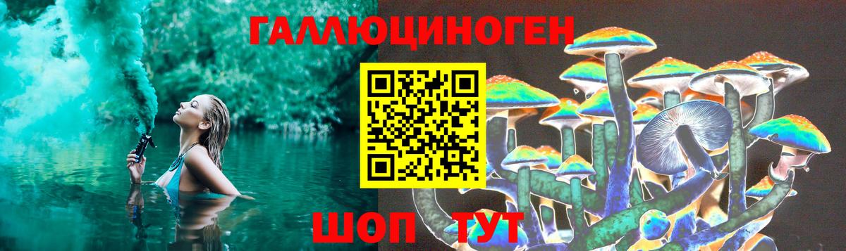 Псилоцибиновые грибы MAGIC MUSHROOMS  Вход с VPN  Ирбит 